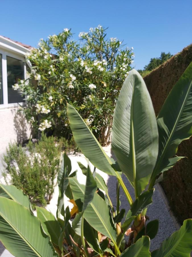 Le Soleil Couchant Angresse Εξωτερικό φωτογραφία